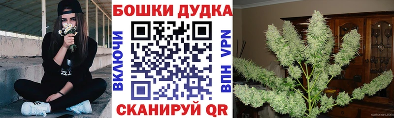  Cocaine Бодайбо
