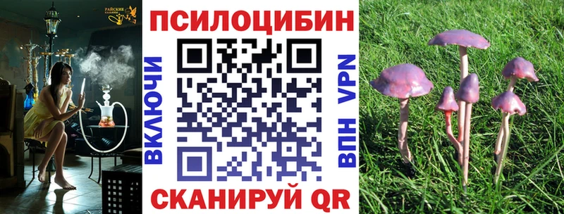 Галлюциногенные грибы прущие грибы  Купить  Бодайбо 